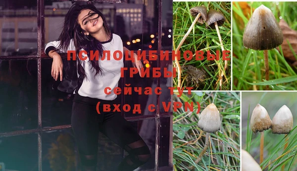 кокс Алексеевка