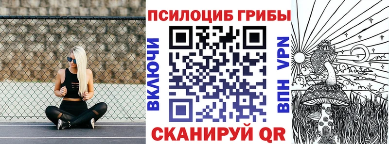 Купить  Курчалой  Галлюциногенные грибы Cubensis 