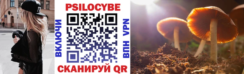 Галлюциногенные грибы мицелий Курчалой